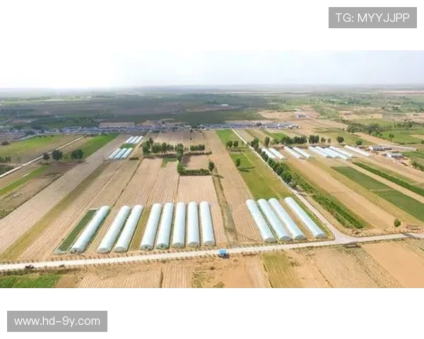 长春市团山学校足球场周边区域发展规划与设施建设方案探讨